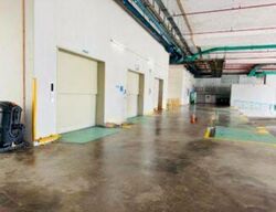 Techpoint (D20), Factory #497905861